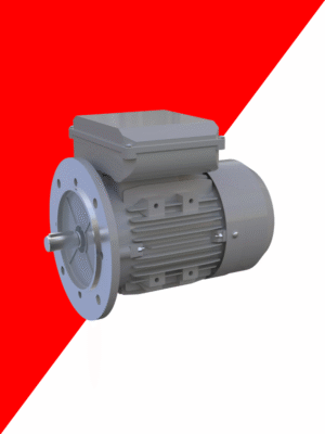 Design sem nome (6) Motores Elétricos Monofásicos ML