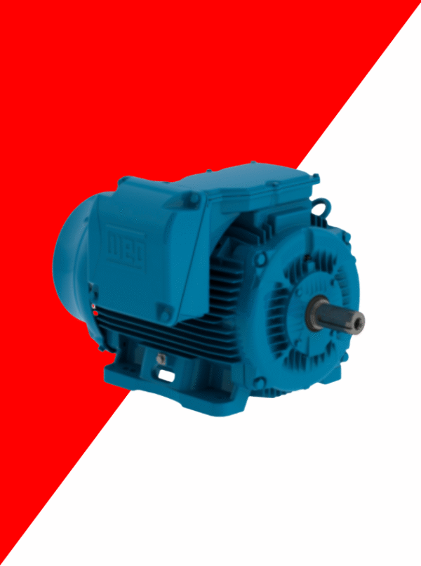 Design sem nome (7) Motor WEG de indução trifasico – Linha W22